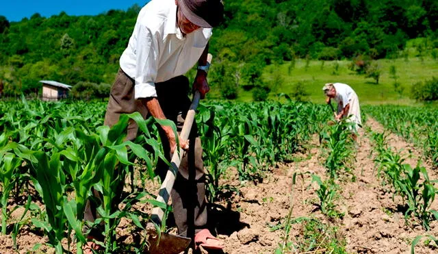 Agricultura 4.0: ¿qué es y cómo transformará la producción alimentaria?